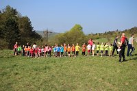 Tolles Kreisfinale beim Crosslauf Bild: Tolles Kreisfinale beim Crosslauf