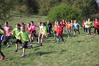 Tolles Kreisfinale beim Crosslauf Bild: Tolles Kreisfinale beim Crosslauf