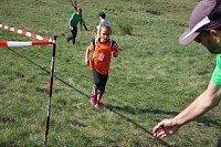 Tolles Kreisfinale beim Crosslauf Bild: Tolles Kreisfinale beim Crosslauf