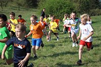 Tolles Kreisfinale beim Crosslauf Bild: Tolles Kreisfinale beim Crosslauf