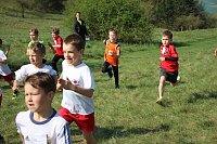 Tolles Kreisfinale beim Crosslauf Bild: Tolles Kreisfinale beim Crosslauf