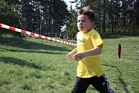 Tolles Kreisfinale beim Crosslauf Bild: Tolles Kreisfinale beim Crosslauf