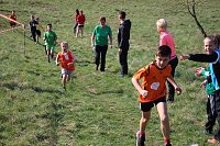 Tolles Kreisfinale beim Crosslauf Bild: Tolles Kreisfinale beim Crosslauf