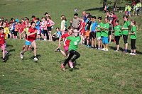 Tolles Kreisfinale beim Crosslauf Bild: Tolles Kreisfinale beim Crosslauf
