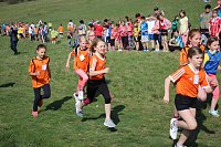Tolles Kreisfinale beim Crosslauf Bild: Tolles Kreisfinale beim Crosslauf