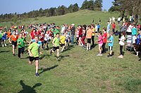 Tolles Kreisfinale beim Crosslauf Bild: Tolles Kreisfinale beim Crosslauf