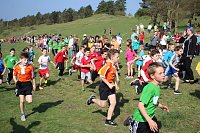 Tolles Kreisfinale beim Crosslauf Bild: Tolles Kreisfinale beim Crosslauf