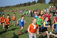 Tolles Kreisfinale beim Crosslauf Bild: Tolles Kreisfinale beim Crosslauf