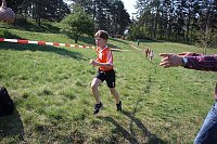 Tolles Kreisfinale beim Crosslauf Bild: Tolles Kreisfinale beim Crosslauf