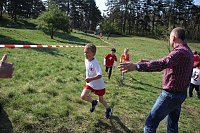 Tolles Kreisfinale beim Crosslauf Bild: Tolles Kreisfinale beim Crosslauf