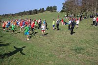 Tolles Kreisfinale beim Crosslauf Bild: Tolles Kreisfinale beim Crosslauf