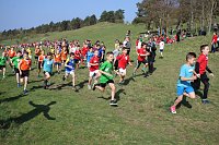 Tolles Kreisfinale beim Crosslauf Bild: Tolles Kreisfinale beim Crosslauf