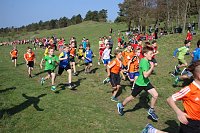 Tolles Kreisfinale beim Crosslauf Bild: Tolles Kreisfinale beim Crosslauf