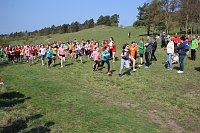Tolles Kreisfinale beim Crosslauf Bild: Tolles Kreisfinale beim Crosslauf