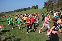 Tolles Kreisfinale beim Crosslauf Bild: Tolles Kreisfinale beim Crosslauf