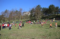 Tolles Kreisfinale beim Crosslauf Bild: Tolles Kreisfinale beim Crosslauf