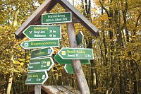 Bild: Wanderung zum Steinbruch R&ouml;se