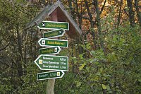 Bild: Wanderung zum Steinbruch R&ouml;se