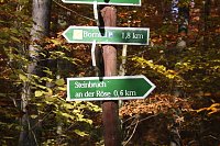 Bild: Wanderung zum Steinbruch R&ouml;se