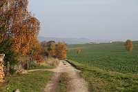 Bild: Wanderung zum Steinbruch R&ouml;se