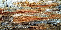 Bild: Wanderung zum Steinbruch R&ouml;se