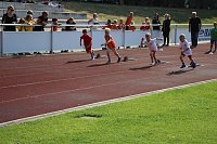 Kreisjugendspiele (Kreismeisterschaften) fortgesetzt Bild: Kreisjugendspiele (Kreismeisterschaften) fortgesetzt