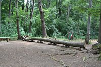 Bild: Nat&uuml;rlich spielen auf der Feuerkuppe