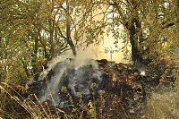 Brand im Hammatal Bild: Brand im Hammatal