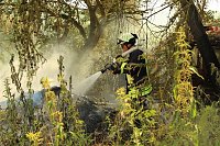 Brand im Hammatal Bild: Brand im Hammatal