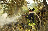 Brand im Hammatal Bild: Brand im Hammatal