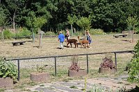 Europacup im Bosseln Bild: Europacup im Bosseln