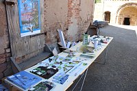 Europacup im Bosseln Bild: Europacup im Bosseln
