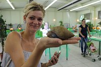 Spinnen- und Insektenschau in Sundhausen Bild: Spinnen- und Insektenschau in Sundhausen