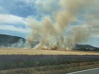 Feldbrand zwischen Groß- und Kleinfurra Bild: Feldbrand zwischen Groß- und Kleinfurra