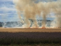 Feldbrand zwischen Groß- und Kleinfurra Bild: Feldbrand zwischen Groß- und Kleinfurra