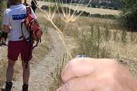 Bild: Das wird ein sch&ouml;ner Osterspaziergang 2019