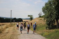 Bild: Das wird ein sch&ouml;ner Osterspaziergang 2019