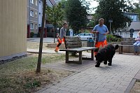 Bild: Rettungshunde in Sondershausen unterwegs