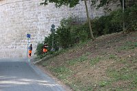 Bild: Rettungshunde in Sondershausen unterwegs