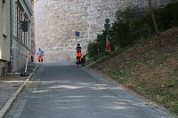 Bild: Rettungshunde in Sondershausen unterwegs