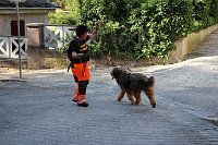 Bild: Rettungshunde in Sondershausen unterwegs