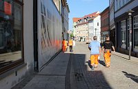 Bild: Rettungshunde in Sondershausen unterwegs