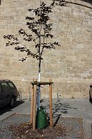 Sinnloser Vandalismus Bild: Sinnloser Vandalismus