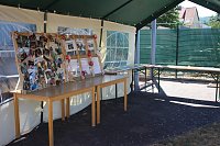 Sommerfest in Bad Frankenhausen Bild: Sommerfest in Bad Frankenhausen