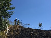 Brand in ehemaliger Kiesgrube Bild: Brand in ehemaliger Kiesgrube