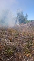 Brand in ehemaliger Kiesgrube Bild: Brand in ehemaliger Kiesgrube