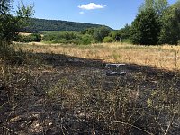 Brand in ehemaliger Kiesgrube Bild: Brand in ehemaliger Kiesgrube