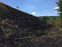Brand in ehemaliger Kiesgrube Bild: Brand in ehemaliger Kiesgrube