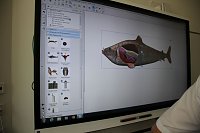 So funktionell wird die Franzbergschule Bild: So funktionell wird die Franzbergschule
