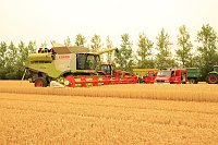 Bild: Erntefahrzeug berannte